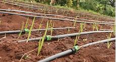 Drip Irrigation Pipes