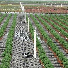 Drip Irrigation Pipe