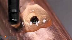Pipe Clamp