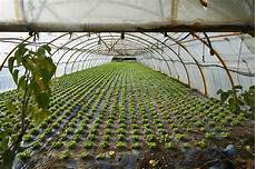 Plastic Irrigation Pipes