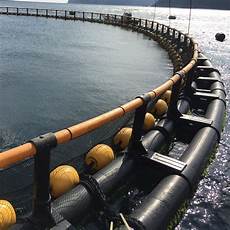 Square Pipes
